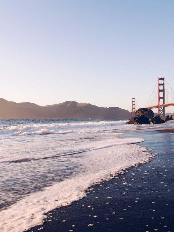 Histology Visualization